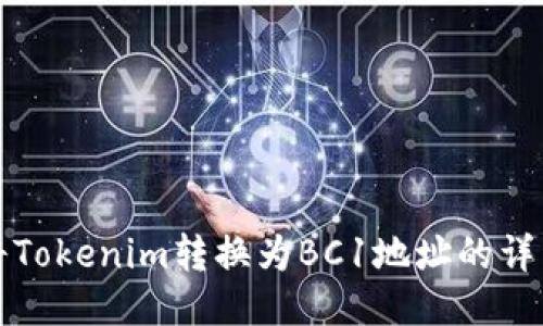 如何将Tokenim转换为BC1地址的详细指南