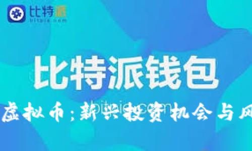 PC数字虚拟币：新兴投资机会与风险分析