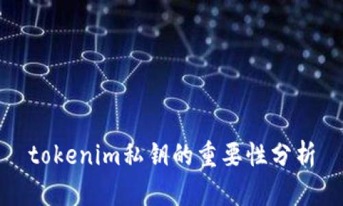 tokenim私钥的重要性分析