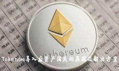 Tokenim导入后资产消失的原因及解决方案