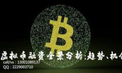 2019年虚拟币融资全景分析：趋势、机会与挑战