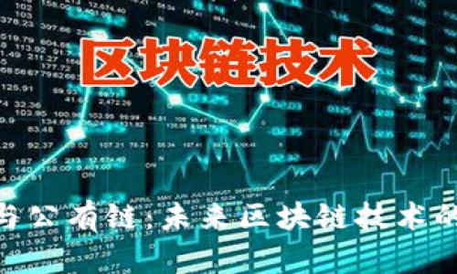 Tokenim与公有链：未来区块链技术的创新探索