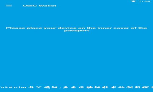 Tokenim与公有链：未来区块链技术的创新探索