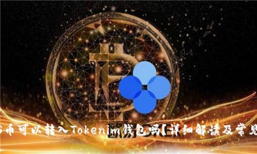 NULS币可以转入Tokenim钱包吗？详细解读及常见问题