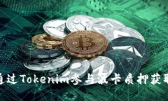 如何通过Tokenim参与波卡质押获取奖励