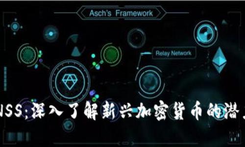 虚拟币NSS：深入了解新兴加密货币的潜力与应用