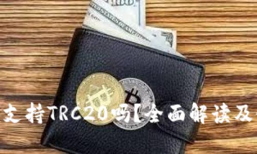 Tokenim支持TRC20吗？全面解读及使用指南