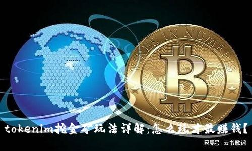 tokenim挖金矿玩法详解：怎么玩才最赚钱？