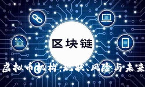 国内虚拟币机构：现状、风险与未来发展