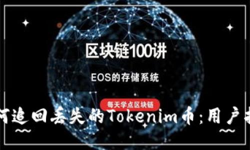 如何追回丢失的Tokenim币：用户指南