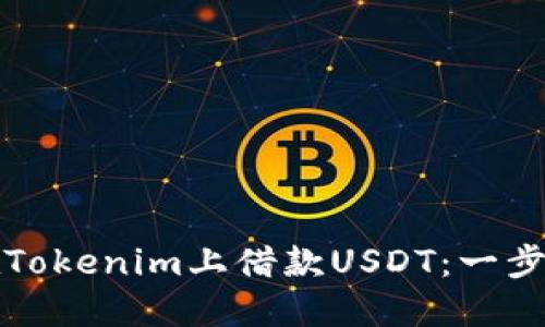 如何在Tokenim上借款USDT：一步步指南