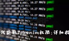 如何获取Tokenim权限：详细指南