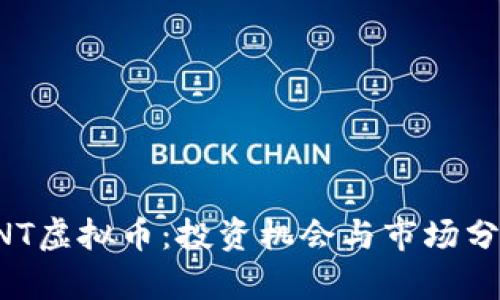 ONT虚拟币：投资机会与市场分析