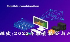 虚拟币爆发：2023年投资机会与风险分析