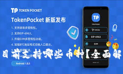 Tokenim目前支持哪些币种？全面解析与更新