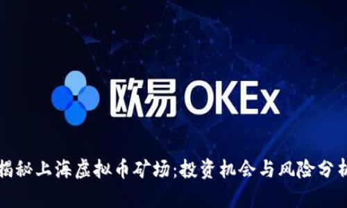 揭秘上海虚拟币矿场：投资机会与风险分析