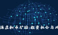 揭秘上海虚拟币矿场：投资机会与风险分析