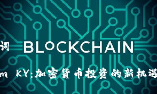 和关键词

Tokenim KY：加密货币投资的新机遇与挑战