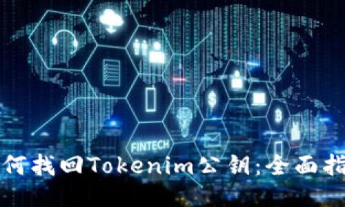 如何找回Tokenim公钥：全面指南
