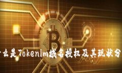 什么是Tokenim域名授权及其现状分析