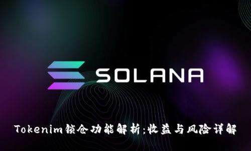 Tokenim锁仓功能解析：收益与风险详解