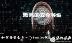如何将资金导入Tokenim钱包的详细指南