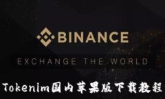   Tokenim国内苹果版下载教程