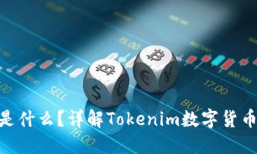 Tokenim是什么？详解Tokenim数字货币及其应用