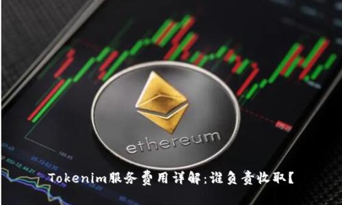 Tokenim服务费用详解：谁负责收取？