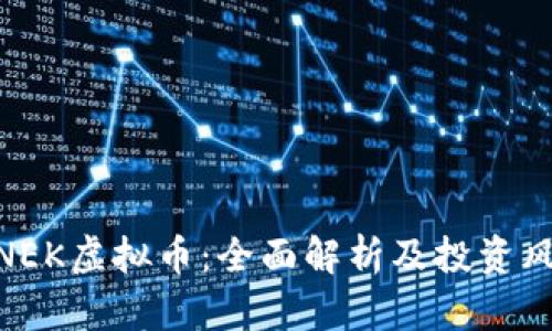: NEK虚拟币：全面解析及投资风险