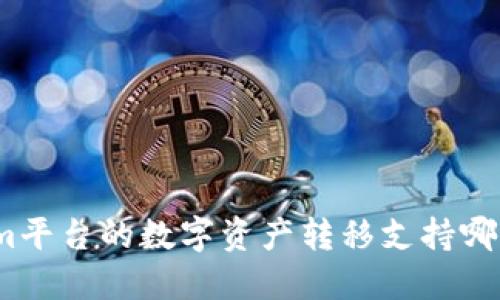 Tokenim平台的数字资产转移支持哪些币种？