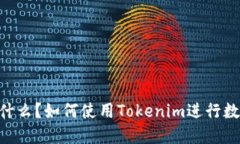 Tokenim是什么？如何使用Tokenim进行数字资产管理