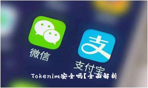 Tokenim安全吗？全面解析