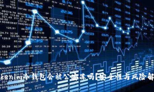 tokenim冷钱包会被公安冻吗？安全性与风险解析