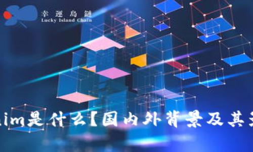 : Tokenim是什么？国内外背景及其影响分析