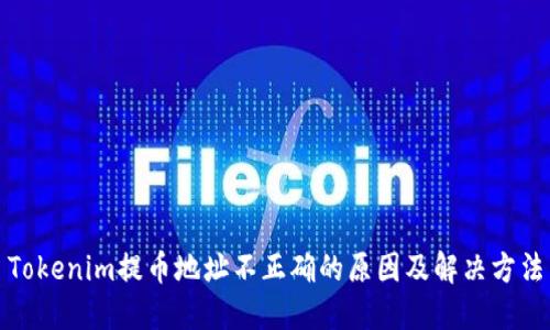 Tokenim提币地址不正确的原因及解决方法