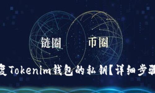 如何恢复Tokenim钱包的私钥？详细步骤与技巧