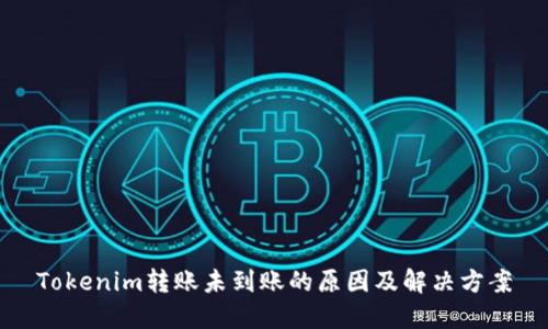 Tokenim转账未到账的原因及解决方案