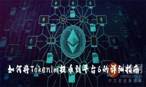 如何将Tokenim提币到平台6的详细指南