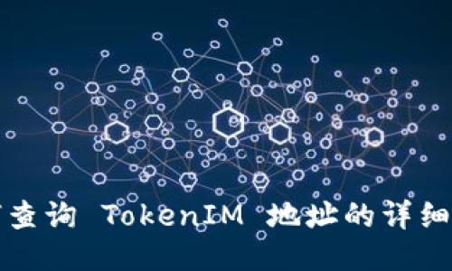 如何查询 TokenIM 地址的详细指南