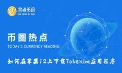 如何在苹果12上下载Tokenim应用程序