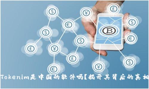 Tokenim是中国的软件吗？揭开其背后的真相