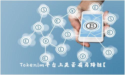 Tokenim平台上是否有马蹄链？